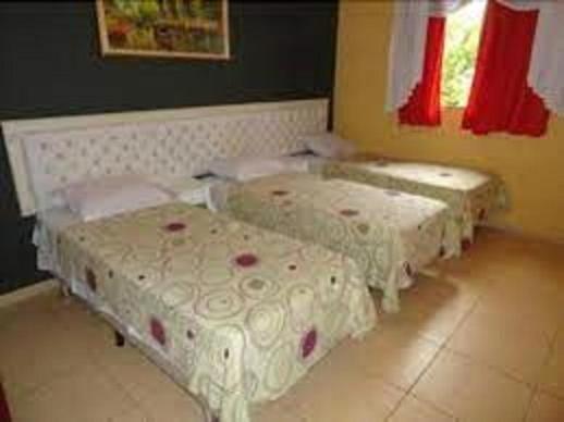Hotel La Ville - Ipiranga São Paulo
